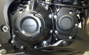 KAWASAKI Z1000 Gen.5 2020 ZXT00W