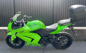 KAWASAKI NINJA 250R EX250K