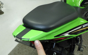 KAWASAKI ZX-25R ZX250E