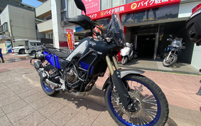 YAMAHA TENERE 700 2020 DM09J