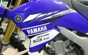 YAMAHA WR250R DG15J