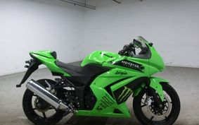 KAWASAKI NINJA 250R 2009 EX250K