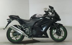 KAWASAKI NINJA 250R 2009 EX250K