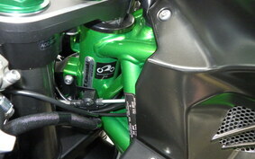 KAWASAKI NINJA H2 CARBON 2020 ZXT02J