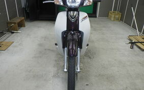 HONDA DREAM 110 JA27