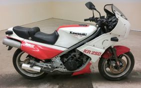 KAWASAKI KR250 KR250A