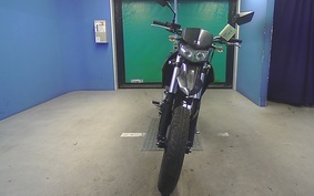 KAWASAKI KLX125D TRACKER X LX250V