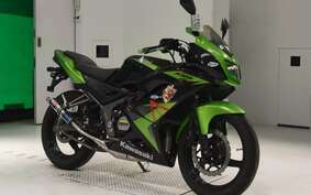 KAWASAKI NINJA150RR