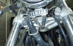 YAMAHA VIRAGO 250 TRIKE 3DM