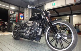 HARLEY FXBRS 2022 YHK