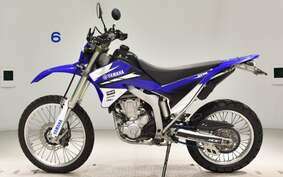 YAMAHA WR250R DG15J