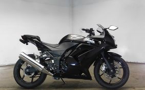 KAWASAKI NINJA 250R 2009 EX250K