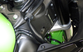 KAWASAKI NINJA ZX-6R A 2024 ZX636J