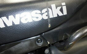 KAWASAKI SUPER SHERPA KL250G