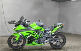 KAWASAKI NINJA 250 EX250L