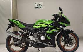 KAWASAKI NINJA150RR KR150P