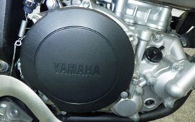 YAMAHA WR250X DG15J