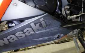 KAWASAKI NINJA 250 EX250L