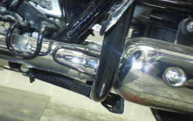 KAWASAKI W800 2022 EJ800E