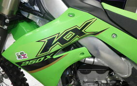 KAWASAKI KX250X KX252D