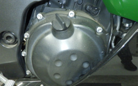 KAWASAKI ZX 1400 NINJA R A 2021