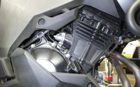 KAWASAKI VERSYS 250 A LE250D