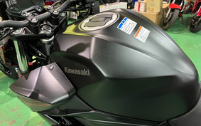 KAWASAKI Z250ABS EX250P