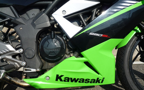 KAWASAKI Ninja 250SL BX250A