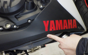 YAMAHA YZF-R25 RG10J