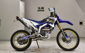 YAMAHA WR250R DG15J