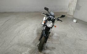 SUZUKI GOOSE 250 NJ46A