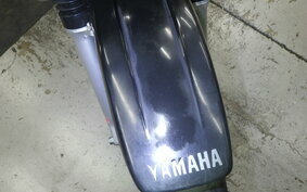 YAMAHA TW225 DG09J