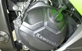 KAWASAKI NINJA 250 EX250L