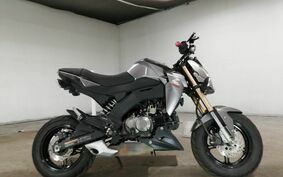 KAWASAKI Z125 PRO BR125H