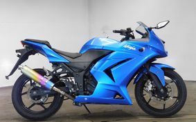 KAWASAKI NINJA 250R 2010 EX250K