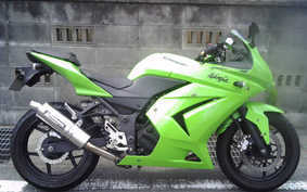 KAWASAKI NINJA 250R 2008 EX250K