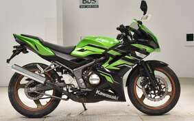 KAWASAKI NINJA150RR KR150P