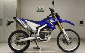 YAMAHA WR250R DG15J