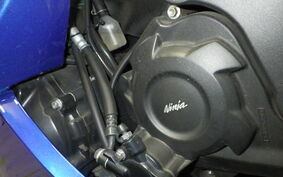 KAWASAKI ZX 1400 NINJA R 2013 ZXNE10