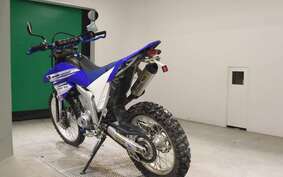 YAMAHA WR250R DG15J