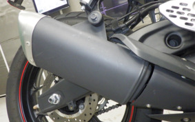 YAMAHA YZF-R25 A RG43J