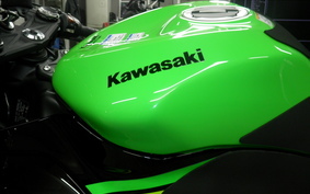 KAWASAKI NINJA ZX-6R A ZX636G