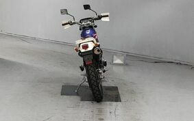 KAWASAKI SUPER SHERPA KL250G