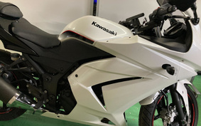 KAWASAKI Ninja 250R SE EX250K