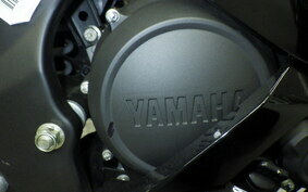 YAMAHA YZF-R15 RG52