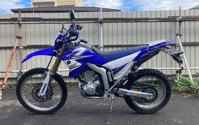 YAMAHA WR250R DG15J