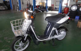 YAMAHA EC-03 2010 SY06J