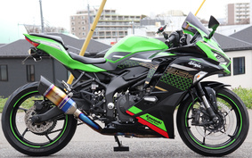 KAWASAKI NINJA ZX 25 ZX250E