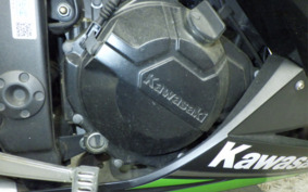 KAWASAKI NINJA 250 ABS EX250L