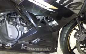 KAWASAKI NINJA 250 EX250P